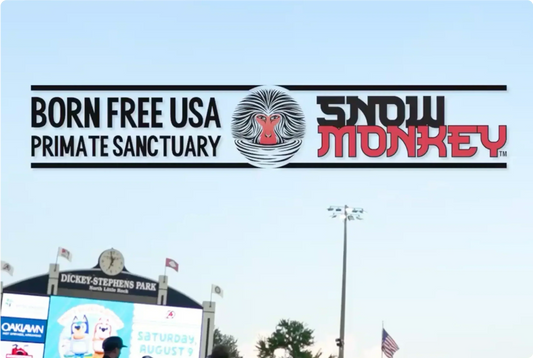 Snow Monkey Teams Up with Born Free USA to Support Primate Conservation