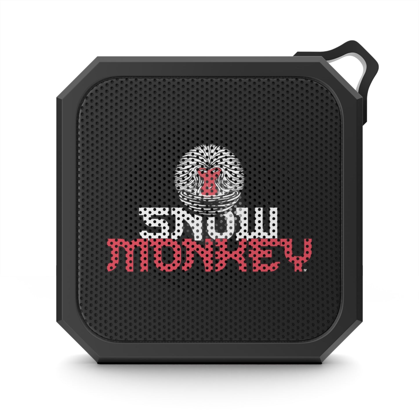 Bluetooth Outdoor Speaker