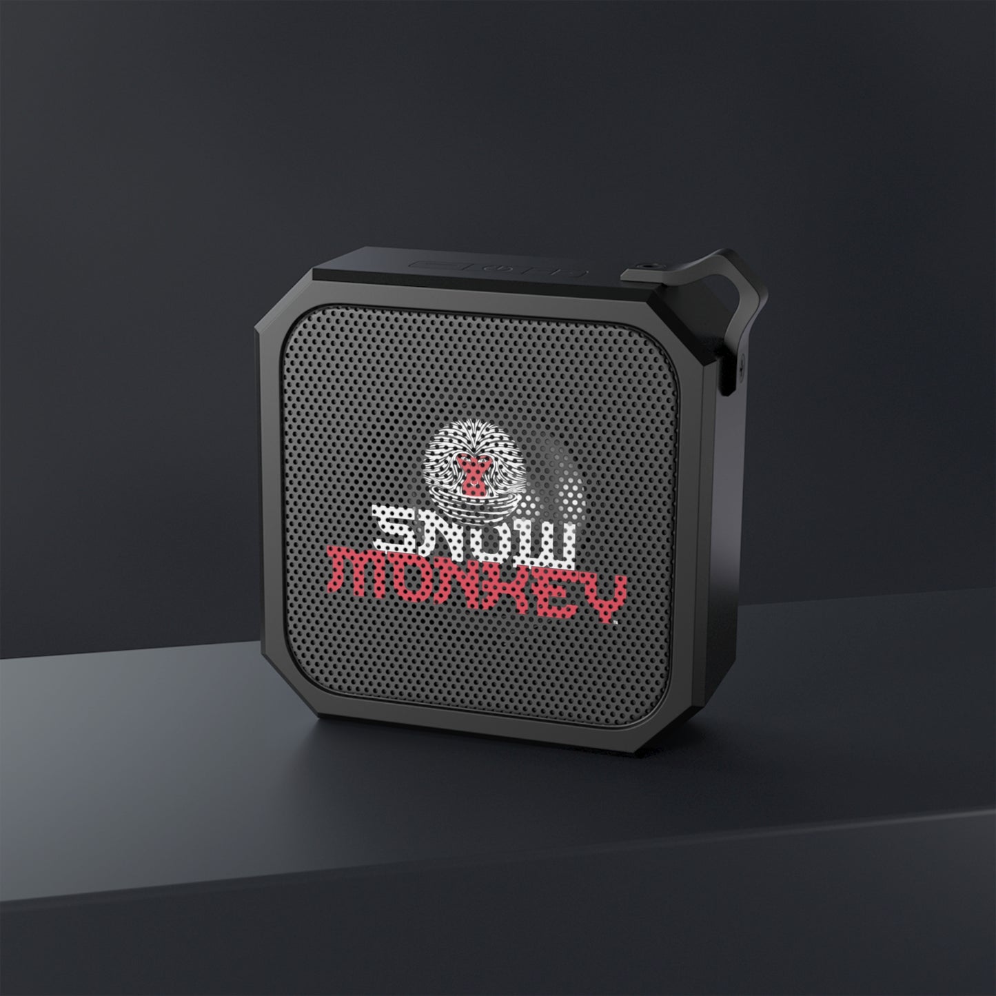 Bluetooth Outdoor Speaker